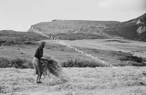 HAY MAKING